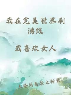 我在完美世界刷满级