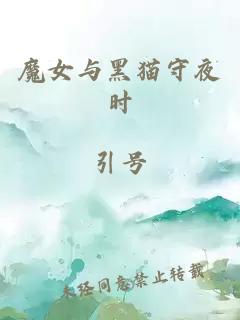 魔女与黑猫守夜时